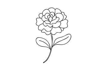 Simple Line Drawing of a Single Elegant Carnation Flower