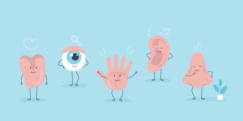 5 Senses, horizontal banner, template. Funny human organs, happy mascots. Five senses. Touch, sight, hearing, smell and taste. Brain, hand, eye, nose, mouth and ear.