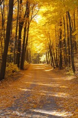 A picturesque autumn path, lined with golden trees, invites a journey through nature's vibrant hues.