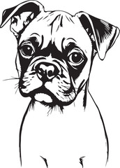 Boxer puppy. Hand drawn vector illustration