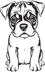 Boxer puppy. Hand drawn vector illustration