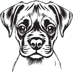 Boxer puppy. Hand drawn vector illustration