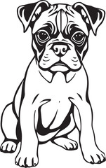 Boxer puppy. Hand drawn vector illustration