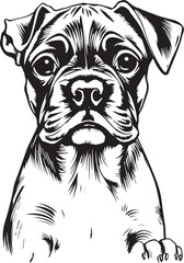 Boxer puppy. Hand drawn vector illustration