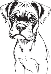Boxer puppy. Hand drawn vector illustration