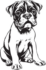 Boxer puppy. Hand drawn vector illustration
