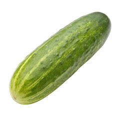A fresh, elongated cucumber with a vibrant green skin, featuring subtle stripes and small bumps.