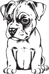 Boxer puppy. Hand drawn vector illustration