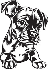 Boxer puppy. Hand drawn vector illustration