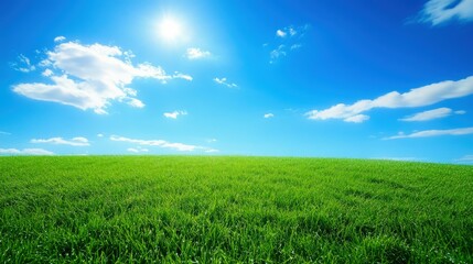 Obraz premium Green meadow under a blue sky with fluffy clouds landscape stock image free