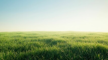 Fototapeta premium Lush green field landscape meadow grass scenic view nature photography image