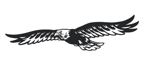 Eagle soaring in the sky with wings out