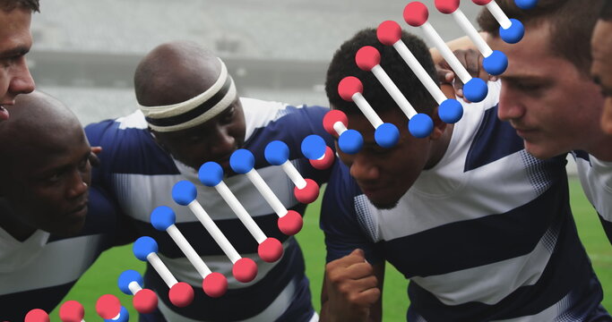 Image of dna strand over male rugby players at stadium
