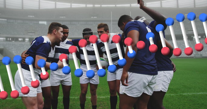 Image of dna strand over male rugby players at stadium