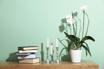Houseplant and other decor on wooden cabinet near green wall indoors