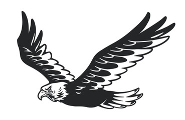 Obraz premium Eagle soaring in the blue sky