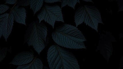 Fototapeta premium Tree leaves.