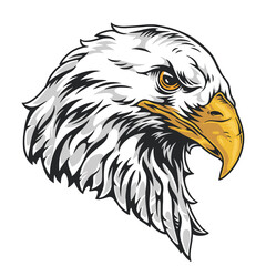 Detailed illustration of a majestic eagle's head