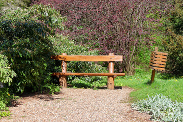 Bench in the park