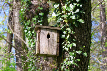 Bird feeder.