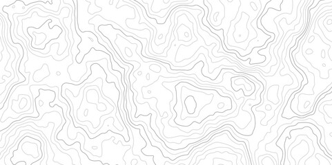 
The stylized height of the topographic map in contour, lines. creative cartography.Black and white landscape geographic pattern.Topography and geography map grid abstract backdrop.