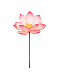 isolated transparent Background. beautiful lotus blossom with delicate petals and vibrant color palette, symbolizing purity