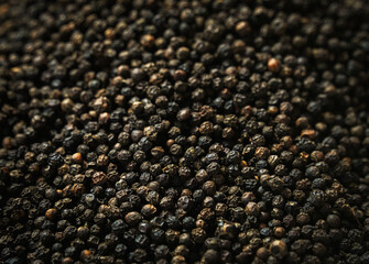 Abstract background view of Coriander Seed or Dhania Seed Heap, Also Known as Chinese Parsley or Cilantro	