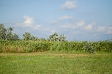 Serene Countryside Landscape with Green Fields and Blue Sky on a Sunny Day for nature and countryside enthusiasts. Nature background for publication, poster, calendar, post. High quality photography