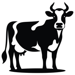 black and white cow