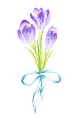 Bouquet of crocuses. Watercolor illustration