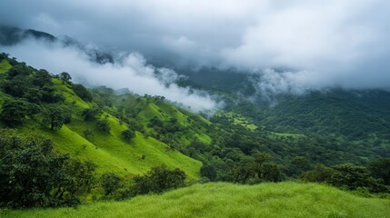 Fototapeta premium Cloud-Kissed Mountains: Majestic mountains enveloped in swirling mists and low-hanging clouds, showcasing lush green hillsides in a tranquil, natural landscape. 