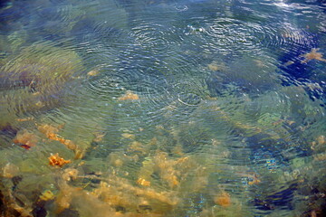 Bubbles of volcanic gas rising to the surface in Lake Cuicocha, the caldera of a volcano, outside of Otavalo, Ecuador