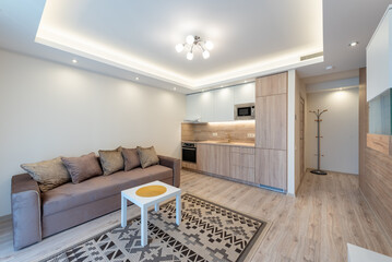 Modern Apartment Interior With Comfortable Couch and Stylish Kitchen Design. Bright and contemporary apartment interior showcasing a cozy seating area and fully equipped kitchen with natural finishes