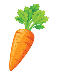 carrot