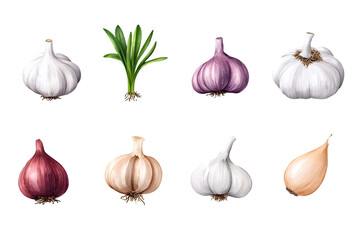 A collection of various types of garlic and onions on a black background