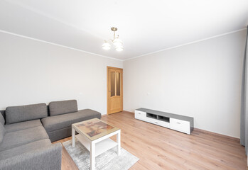 Modern Home Minimalist Living Room with Gray Sofa and Wooden Features