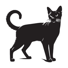 Unique Siamese silhouette, a one-of-a-kind feline representation - Siamese illustration - Siamese vector - cat silhouette

