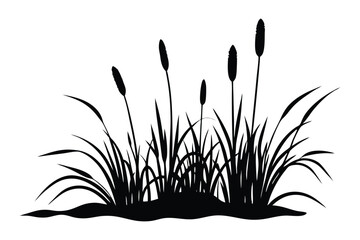 Bulrush silhouette vector art illustration