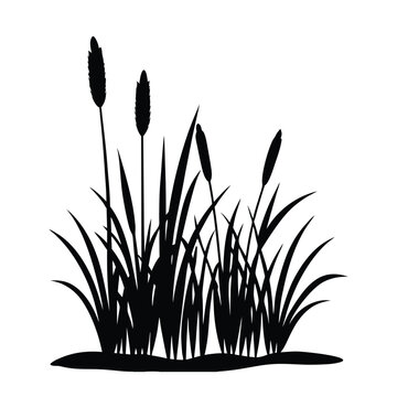 Reed or bulrush silhouette vector art illustration