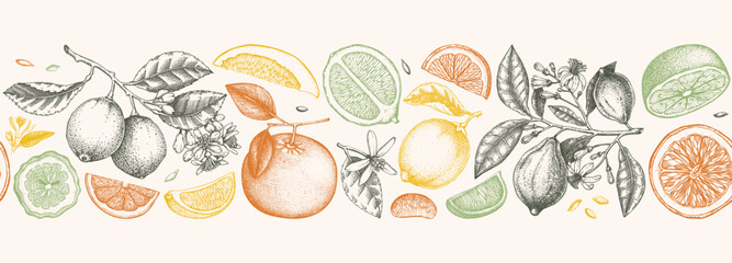 Citrus fruit border design. Seamless pattern. Hand-drawn vector illustrations. Healthy food sketches. Engraved summer background. NOT AI generated