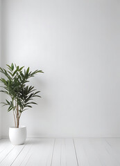 Empty Minimalist Room with Blank Board and Plant Decor