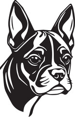 Boxer puppy. Hand drawn vector illustration