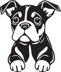 Boxer puppy. Hand drawn vector illustration