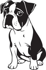 Boxer puppy. Hand drawn vector illustration