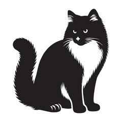 Fototapeta premium Graceful Snowshoe silhouette, highlighting its elegant stance and friendly personality - Snowshoe illustration - Snowshoe vector - cat silhouette
