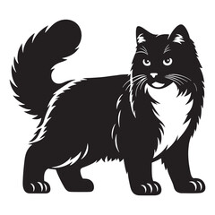 Affectionate Snowshoe silhouette, embodying its loving and friendly nature - Snowshoe illustration - Snowshoe vector - cat silhouette

