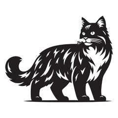Playful Snowshoe silhouette, a lively and energetic feline depiction - Snowshoe illustration - Snowshoe vector - cat silhouette

