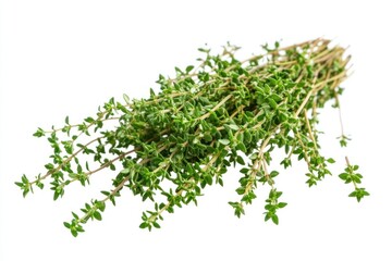 A handful of fresh thyme sprigs with tiny green leaves, isolated on a transparent background.
