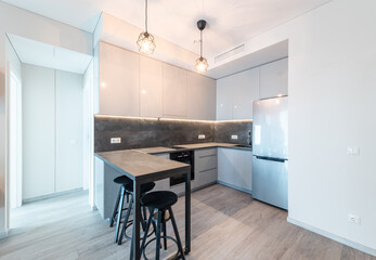 Modern Compact Home Kitchen Interior With Minimalist Design and Contemporary Furniture