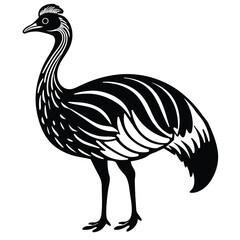 Vector illustration of an ostrich